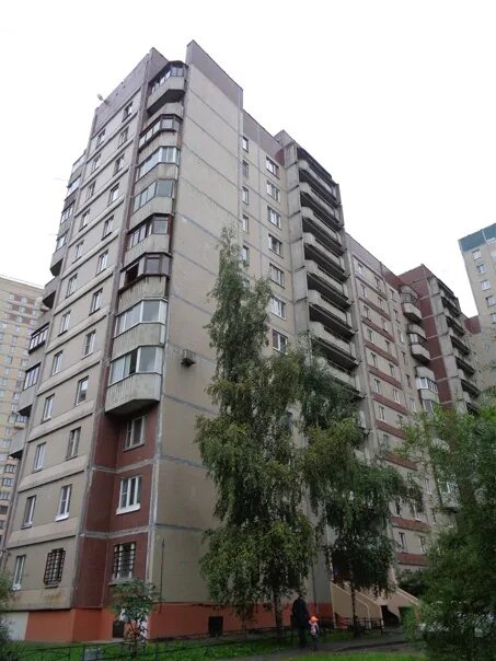 Камышовая ул. Камышовая улица 17. Камышовая улица санкт-петербург. Санкт-петербург, камышовая улица, 28к1. Нижний новгород, вторая камышовая ул.