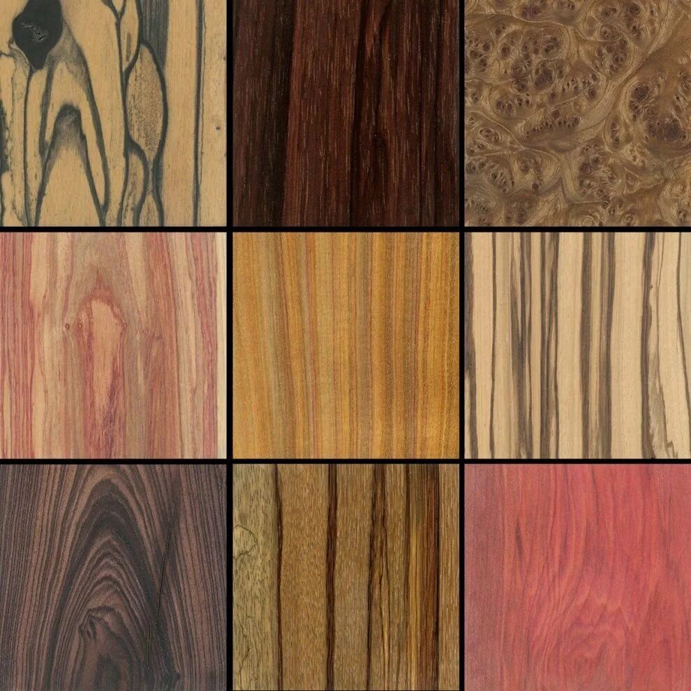 Породы деревьев названия. Фактура разных пород дерева. Цвет различных пород дерева. Текстуры пород древесины. Цвет древесины разных пород.