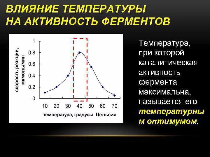 Изучите график зависимости выработки фермента лактазы. Температурный Оптимум амилазы. Влияние PH на температуры ферментов. Как PH влияет на активность фермента. Влияние температуры на активность ферментов.