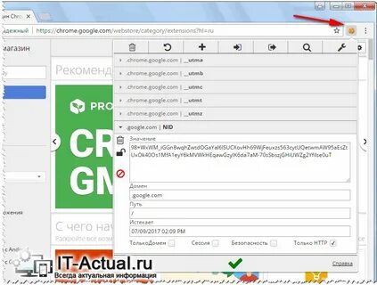 Расширение editthiscookie