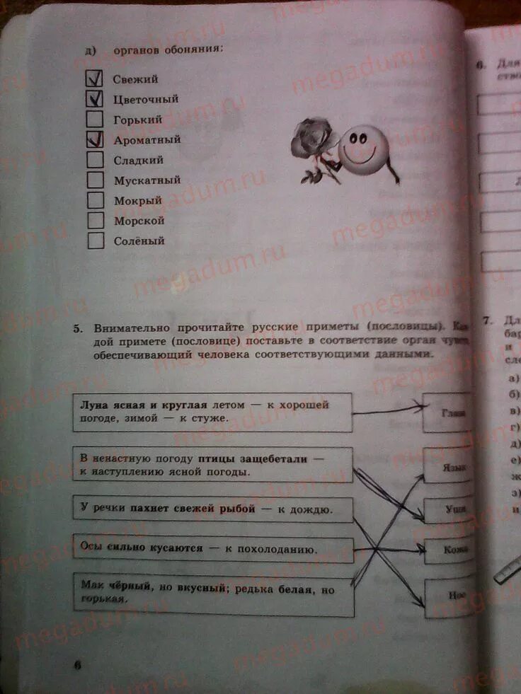 Информатика 5 класс. Информатика. 5 Класс. Учебник. Информатика 5 класс рабочая тетрадь. Информатика 5 класс босова. Информатика 5 класс босова параграф 12