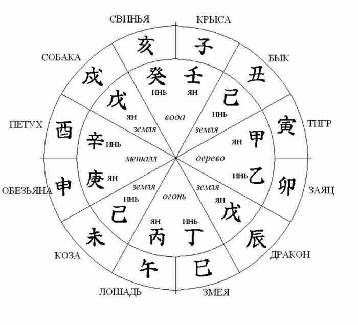 Китайский календарь животных соответствие месяцам. Китайский календарь знаки зодиака. Символ восточного гороскопа. Определить год японии