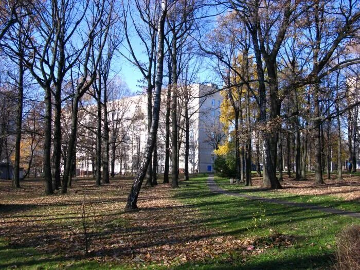 Городская клиническая больница имени м. е. Жадкевича. Можайское шоссе больница 71. 71 Больница Москва. Жадкевича больница 71. Сайт больницы 71 можайское шоссе