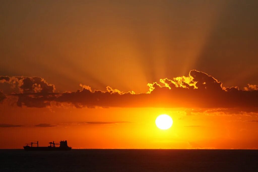 Почувствуй природу. Watch the sun rise. Вместе с восходом солнца трое друзей зашли в лес. Медитация на рассвете солнца. Watch the sun rise.