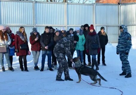Кинологический колледж спб