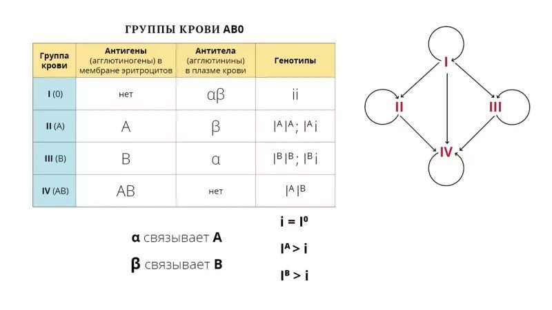 Группа крови задание. Задачи на группы крови генетика. Группы крови задачи по генетике. Обозначение групп крови в генетике. Обозначение групп крови в генетических задачах.