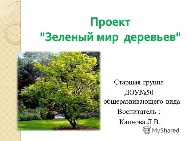 Презентация мир деревьев. Презентация мир деревьев