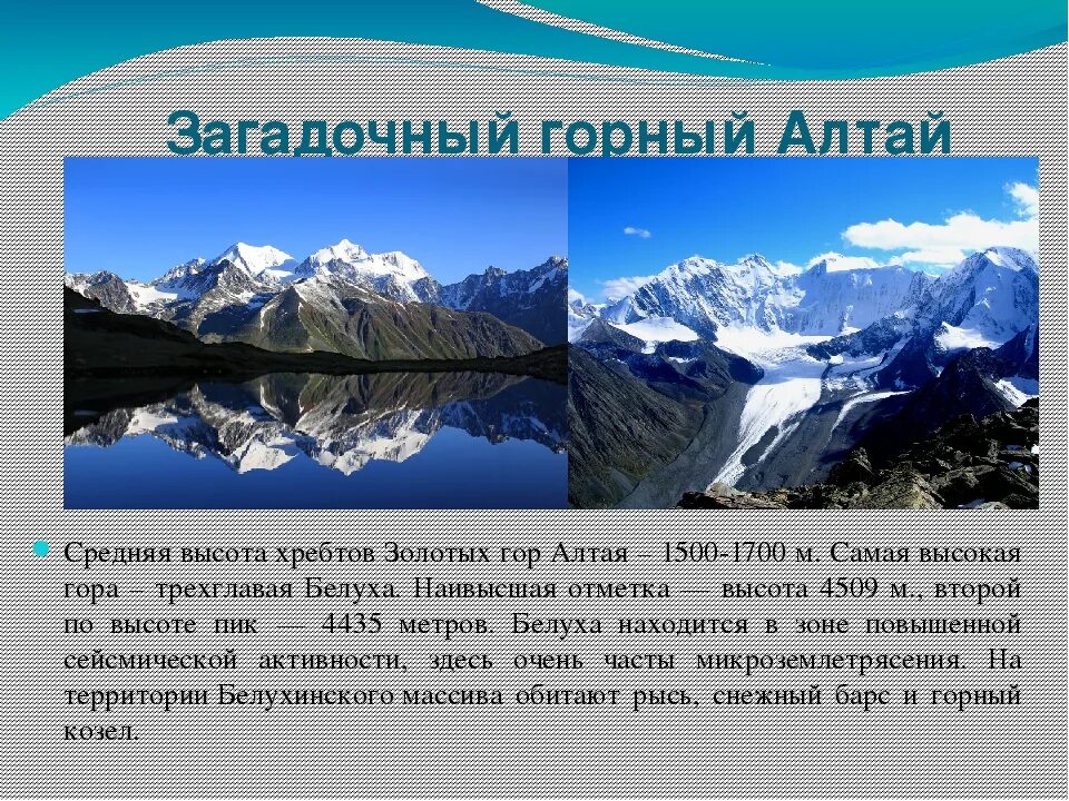 Алтайские горы информация. Сообщение о алтайских гор. Горы Алтая доклад. Алтайские горы доклад. Рассказ про горы 2 класс