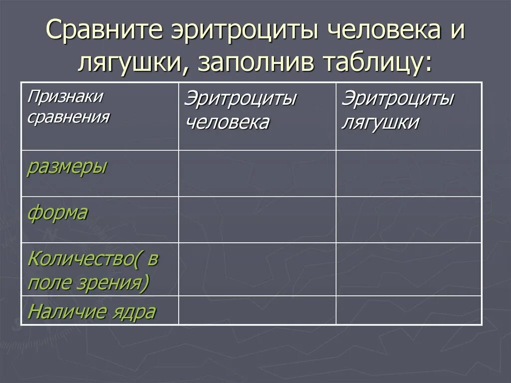 Наличие ядра человека. Сравнение эритроцитов человека и лягушки таблица. Эритроциты лягушки и человека сравнение. Форма эритроцитов человека и лягушки таблица. Количество эритроцитов лягушки и человека.