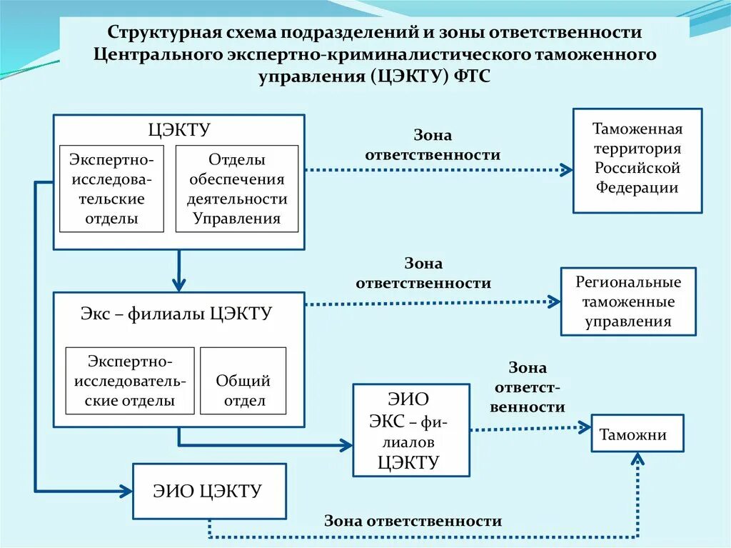 Организационная структура ЦЭКТУ схема. Организация экспертной деятельности в ФТС России. Структура экспертно-криминалистической службы ФТС. Таможенная экспертиза схема. Организация деятельности экспертов