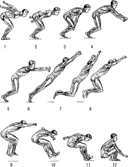 Прыжка в длину мужчины с места. Техника прыжка в длину с места. Как правильно прыгать в длину. Как научиться прыгать в длину с места. Фазы техники прыжка в длину с места.
