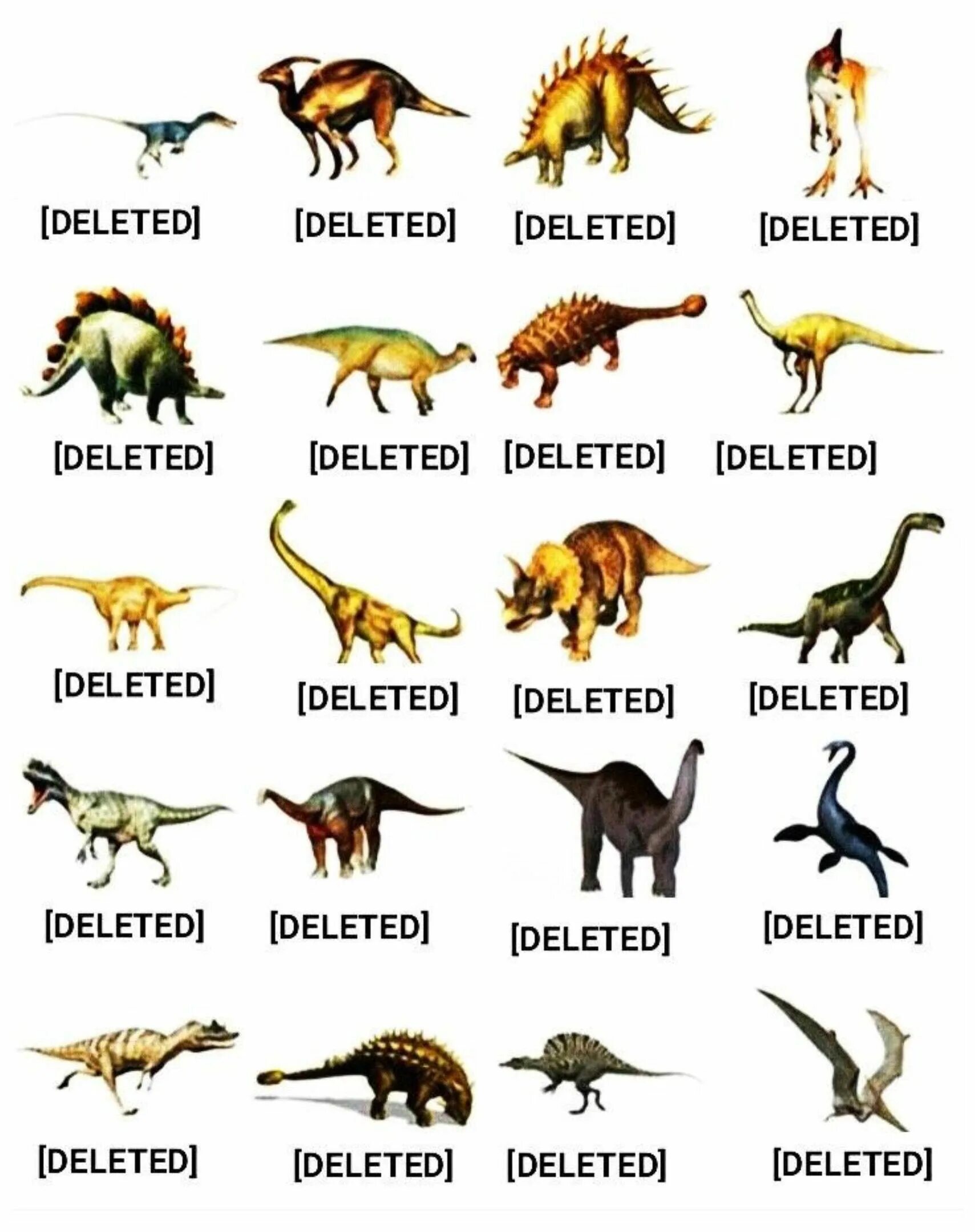 Как назывались маленькие динозавры. Диплодок Брахиозавр Спинозавр. Динозавры Юрского периода названия с картинками на русском языке. Динозавры травоядные и их названия. Анкилозавр Спинозавр.