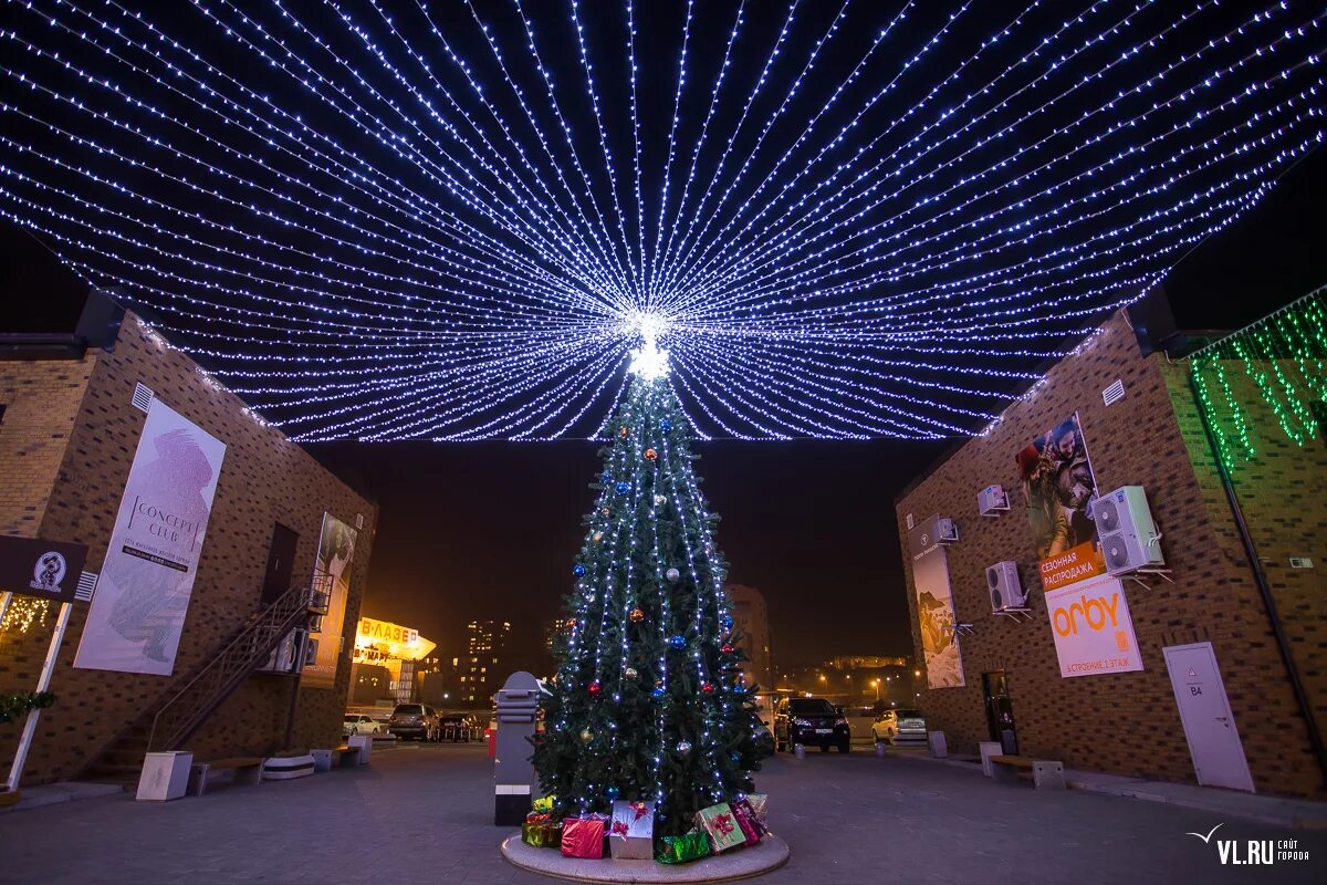 красноярская елка 2022. новый год в приморском. новый год в приморском. новый год в приморском. новый й год во владивостоке.