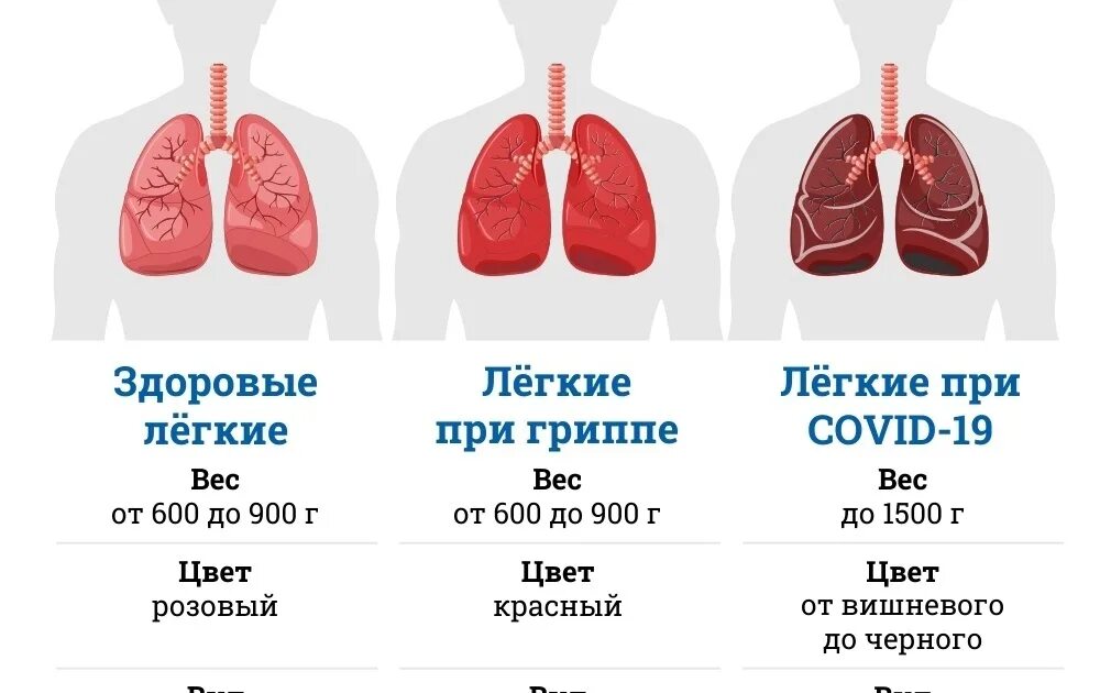 Лёгкие больного коронавирусом. Легкие человека Здоровые и больные. Легкие после поражения