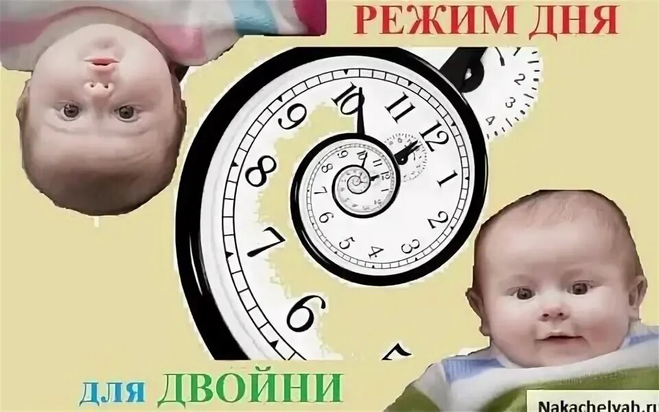 Режим двойни. Однояйцевая двойня. Особенности однояйцевых близнецов. Режим ребенка в 1. Режим двойни.