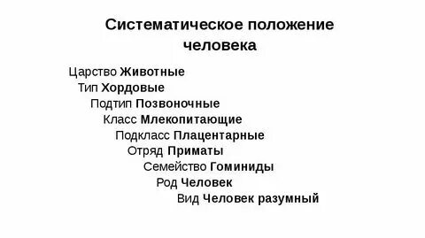 Основные признаки человека как представителя млекопитающих