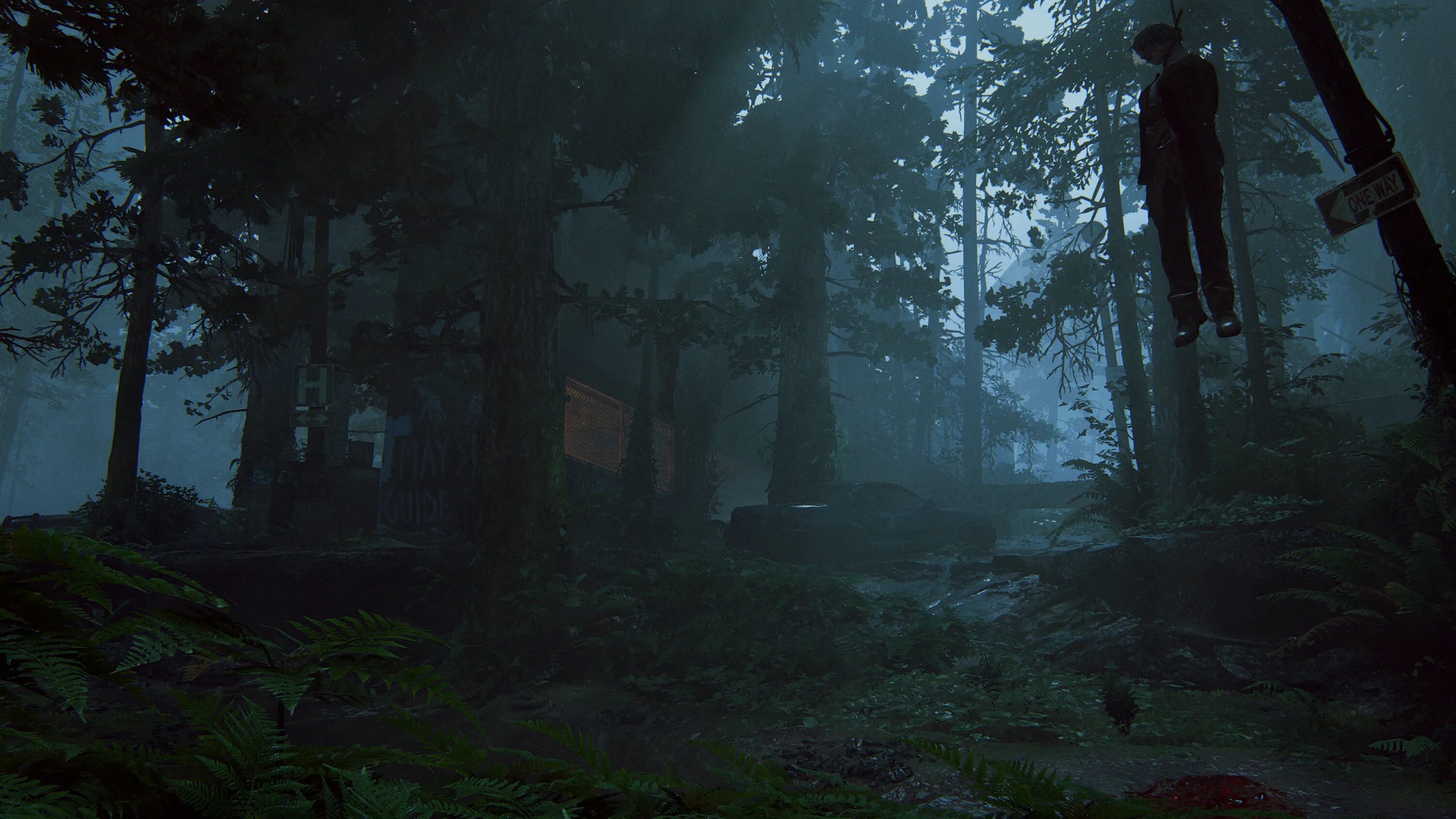 Мен зе фог. The last of us 2 лес. The last of us 2 локации. The last of us парк.
