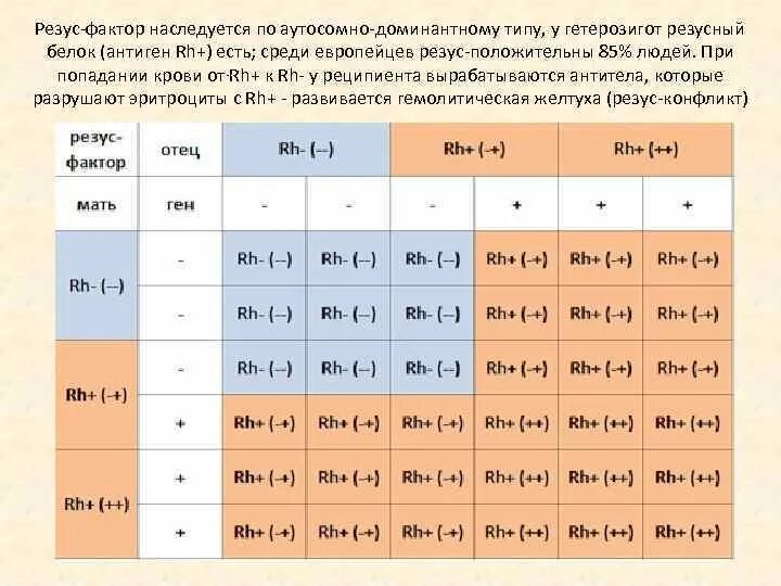 Отрицательный резус процент людей. Таблица наследования резус фактора крови. Группы крови таблица наследования с резусом фактором. Схема наследования групп крови и резус фактора у человека. Таблица наследования групп крови и резус фактора ребенком.