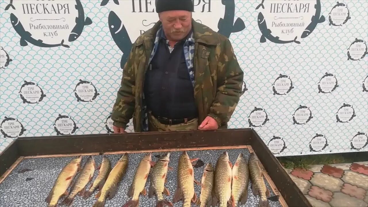 Три пескаря платная рыбалка. Рк три пескаря. три пескаря новомосковск. три пескаря воронеж.