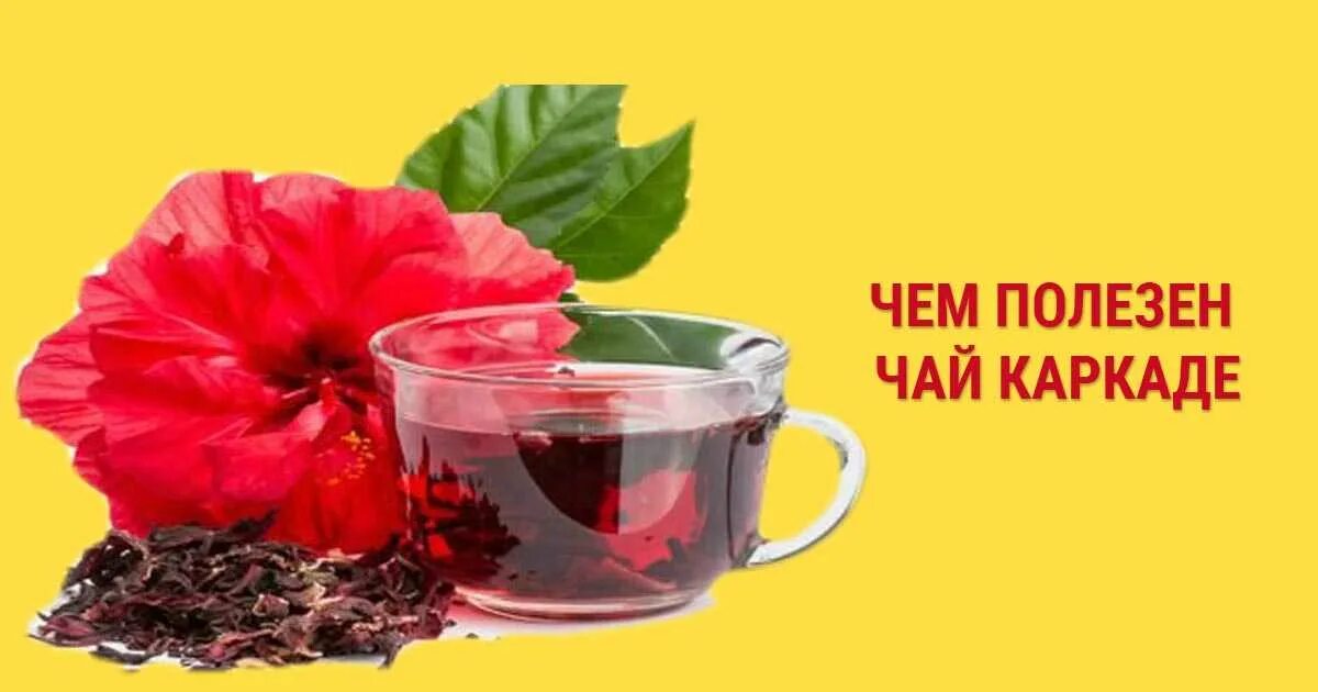 Чай каркаде при давлении пить. Чай &quot;каркаде&quot;. чай каркаде от давления. каркаде чай для понижения давления. чай каркаде и давление артериальное.