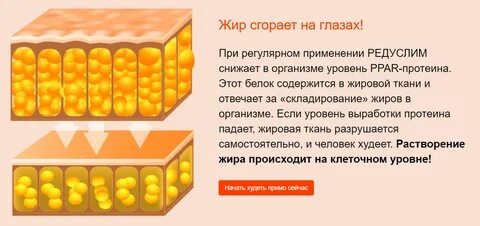 Содержание жировой ткани в организме