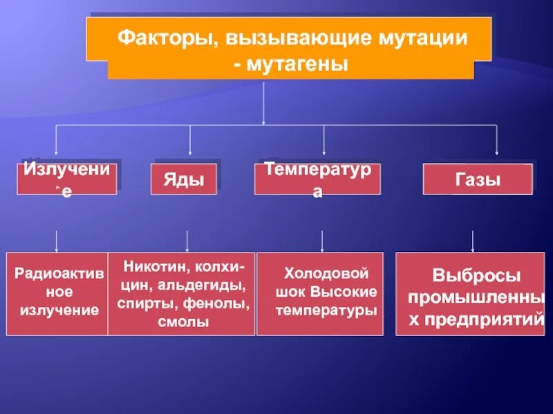 Уберите лишний термин изменчивость мутаген мутация. Мутации и мутагены. факторы вызывающие мутации. факторы - мутагены (вызывающие мутации). перечислите факторы, вызывающие мутации.