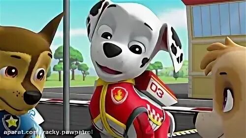 Щенячий патруль ready Race. Щенячий патруль ready Race Rescue. Щенячий патруль ready Race Rescue Зума. Paw Patrol ready Race Rescue Chase. Щенячий патруль 2024 года