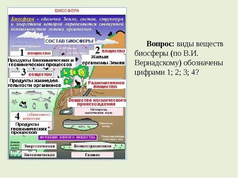 Какие факторы определяют границы биосферы. Термодинамика биосферы. Общая характеристика биосферы. Геохимическая роль биосферы. Характеристика биосферы кратко.