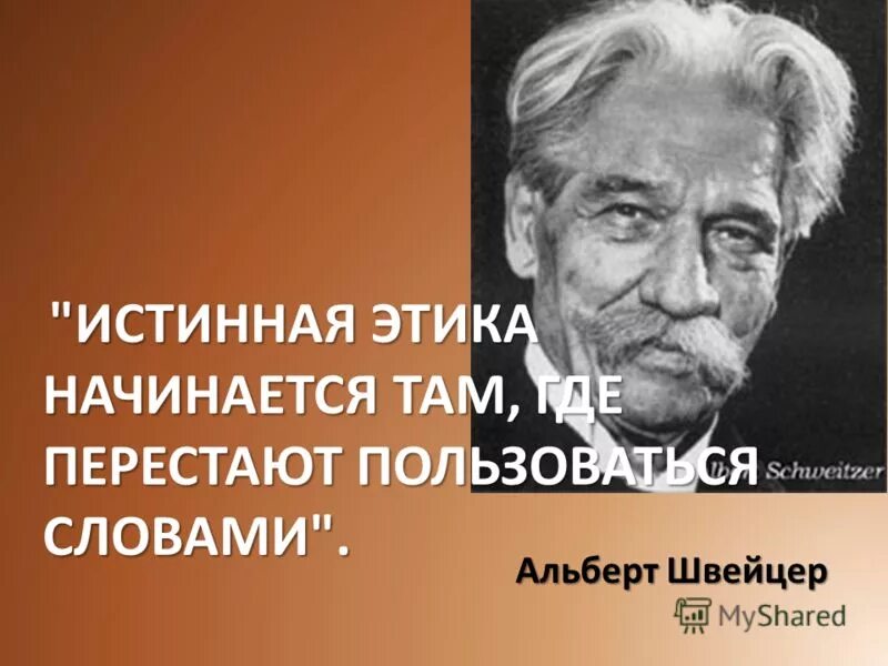 Слова швейцера благоговение перед жизнью