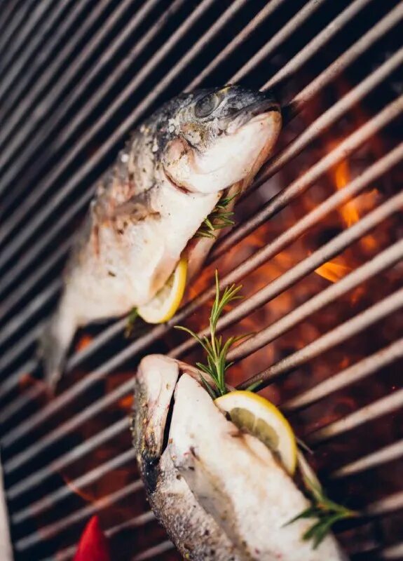 чешско-печорская сельдь. специализированные рыбные магазины. озёрная рыба карп. рыбсток. рыба карась сазан карп.