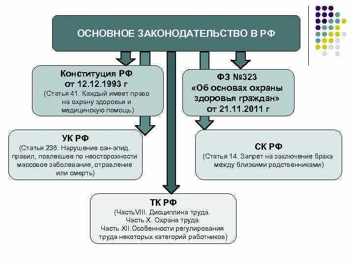 Правовая защита конституции рф. Охрана здоровья Конституция. Право на охрану здоровья положение Конституции РФ. Особая правовая охрана Конституции. Статья 41 Конституции.