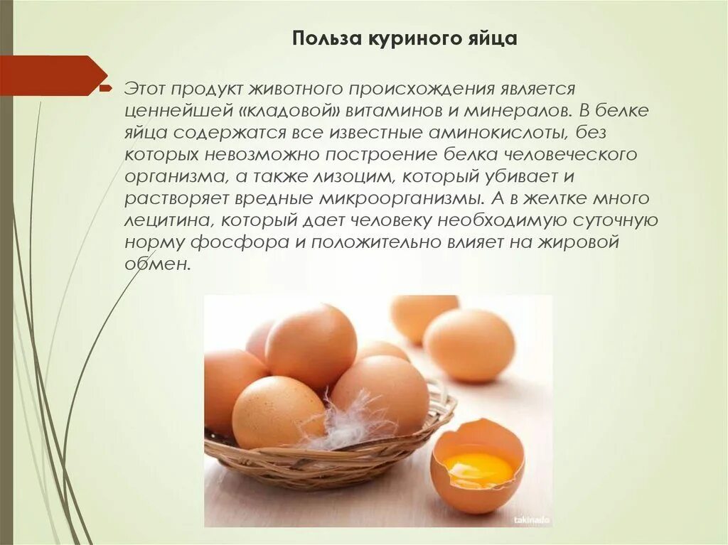 Сколько можно есть курицу. Чем полезны яйца куриные. Информация о куриных яйцах. Что полезного в яйцах куриных. Польза куриных яиц.