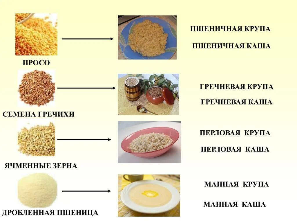 Пшеничная из чего делают. Пшено и пшеничная крупа. Пшеничная и пшенная разница. Пшеничная и пшенная крупа разница. Крупы для приготовления каш.