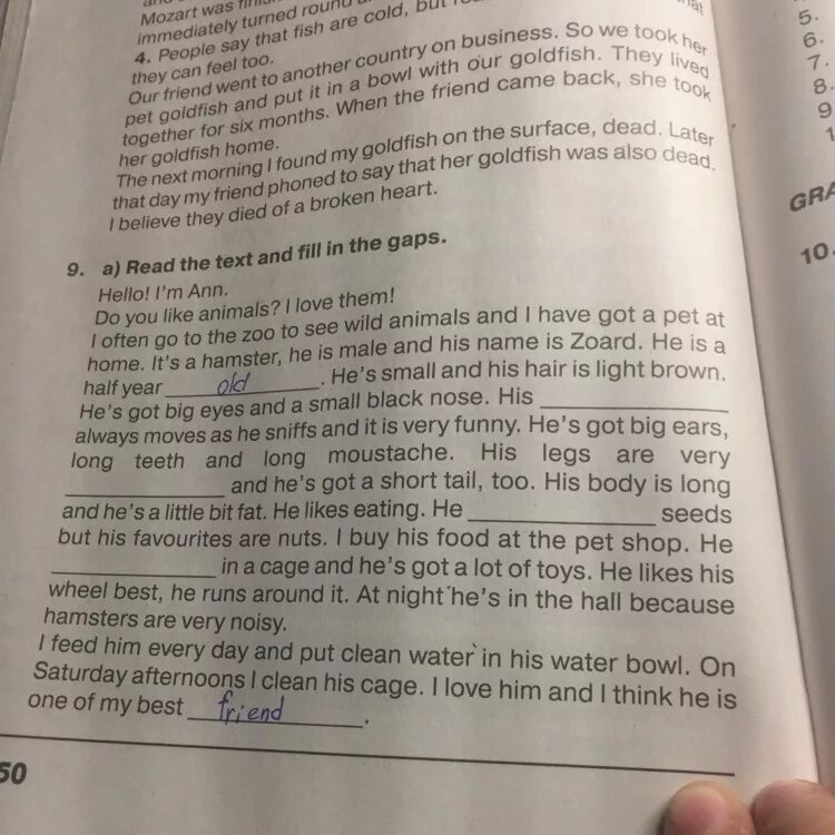Fill in the gaps hello. Ответы read the text and fill in the gaps. Текст fill the gaps in the text. Ответы по read the text, fill in the gaps. Read and fill in the gaps.