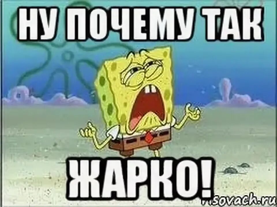 Грише душно и жарко но тут. Жарко мем. очень жарко мемы. зачем так жарко. слишком жарко мем.