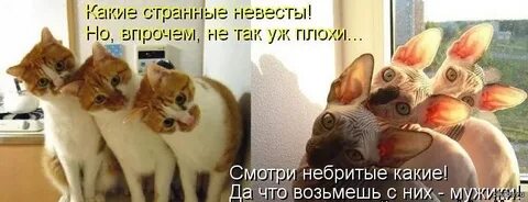 На плохое не смотришь