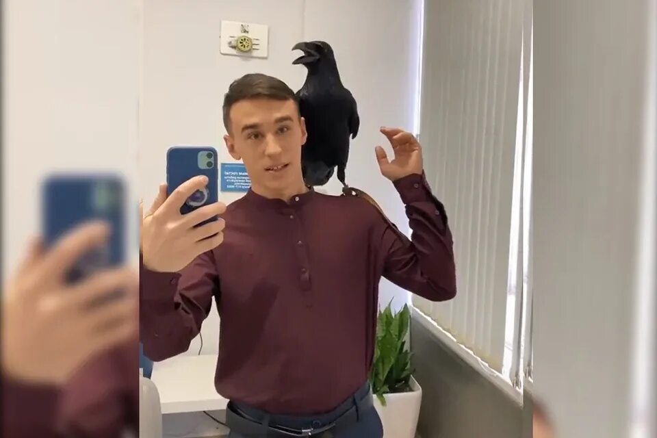 Ворон гоша. Ворон гоша лысьва. ворон гоша ютуб. фото ворон гоша и саша.