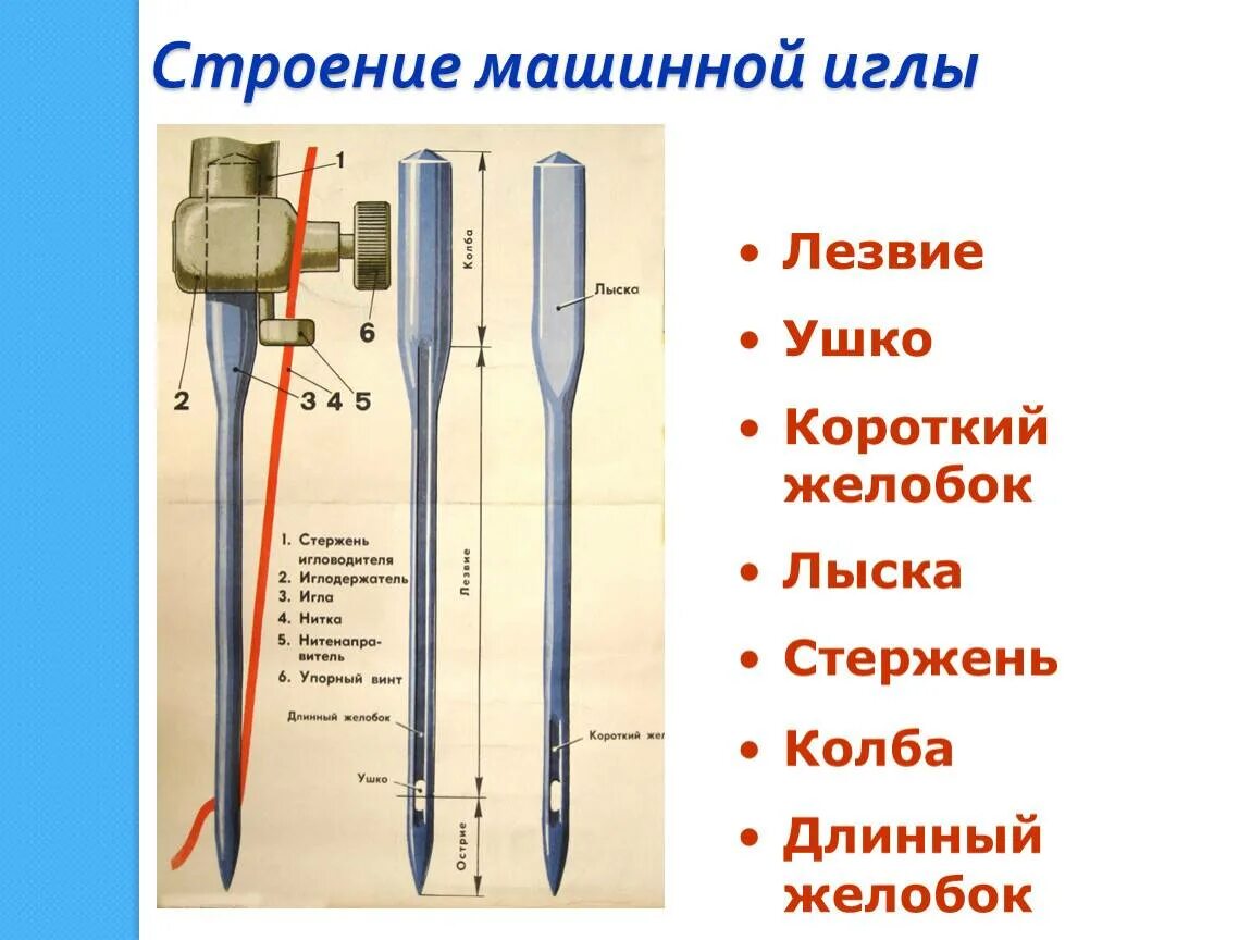 Длинный желобок иглы. Последовательность установки швейной иглы. Правильность установки иглы в швейную машинку. Строение иглы швейной машины. Устройство машинной иглы.