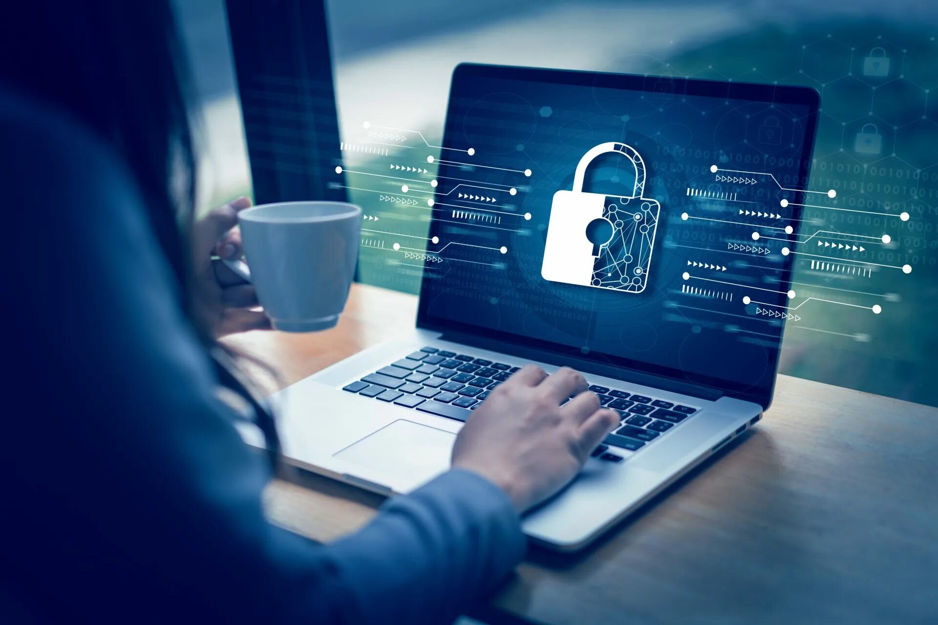 Cyber security course. Утекли данных пользователей. cyber security zeroday.