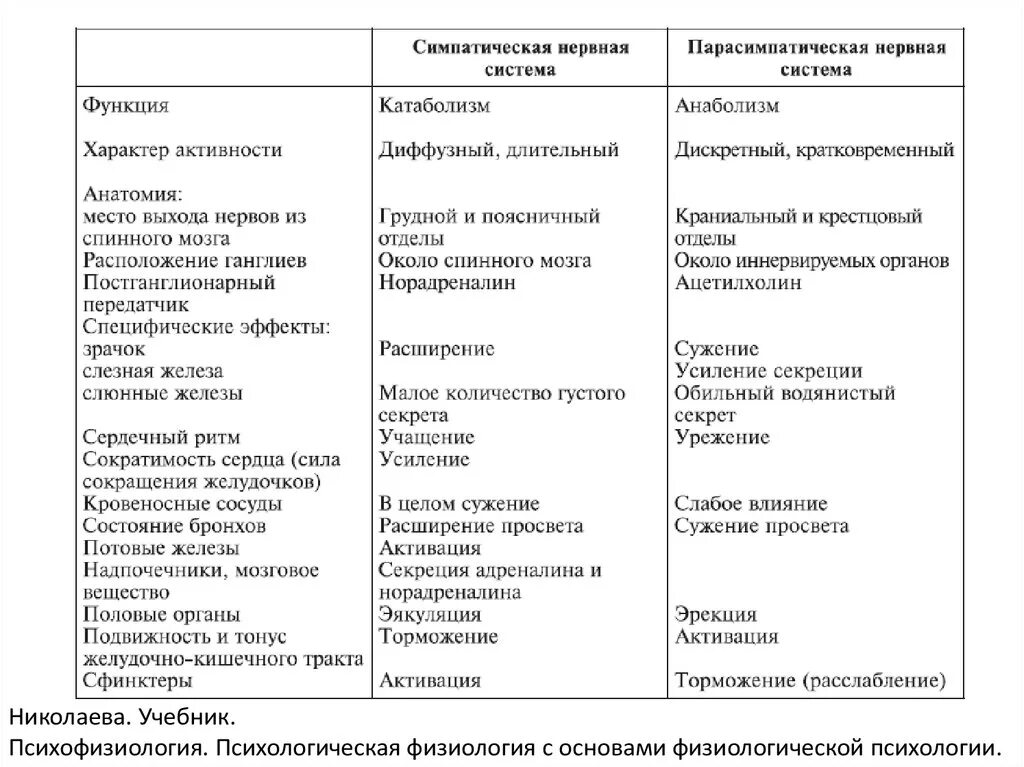 Нервный отдел и функции парасимпатической. Строение и функции отделов нервной системы таблица. Симпатическая и парасимпатическая нервная система отличия таблица. Строение отделов вегетативной нервной системы таблица. Вегетативная нервная система таблица анатомия.