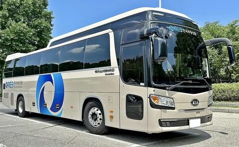 Ставропольдегі элиталық жезөкшелер