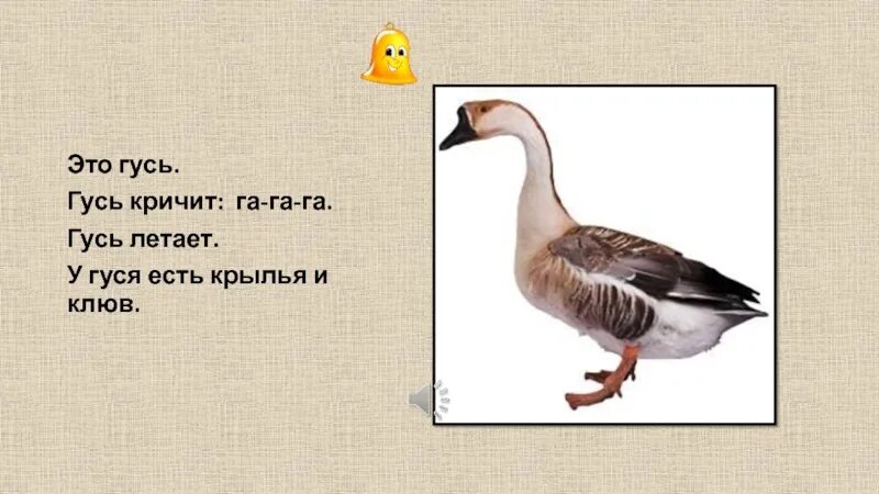 Кто гогочет из животных