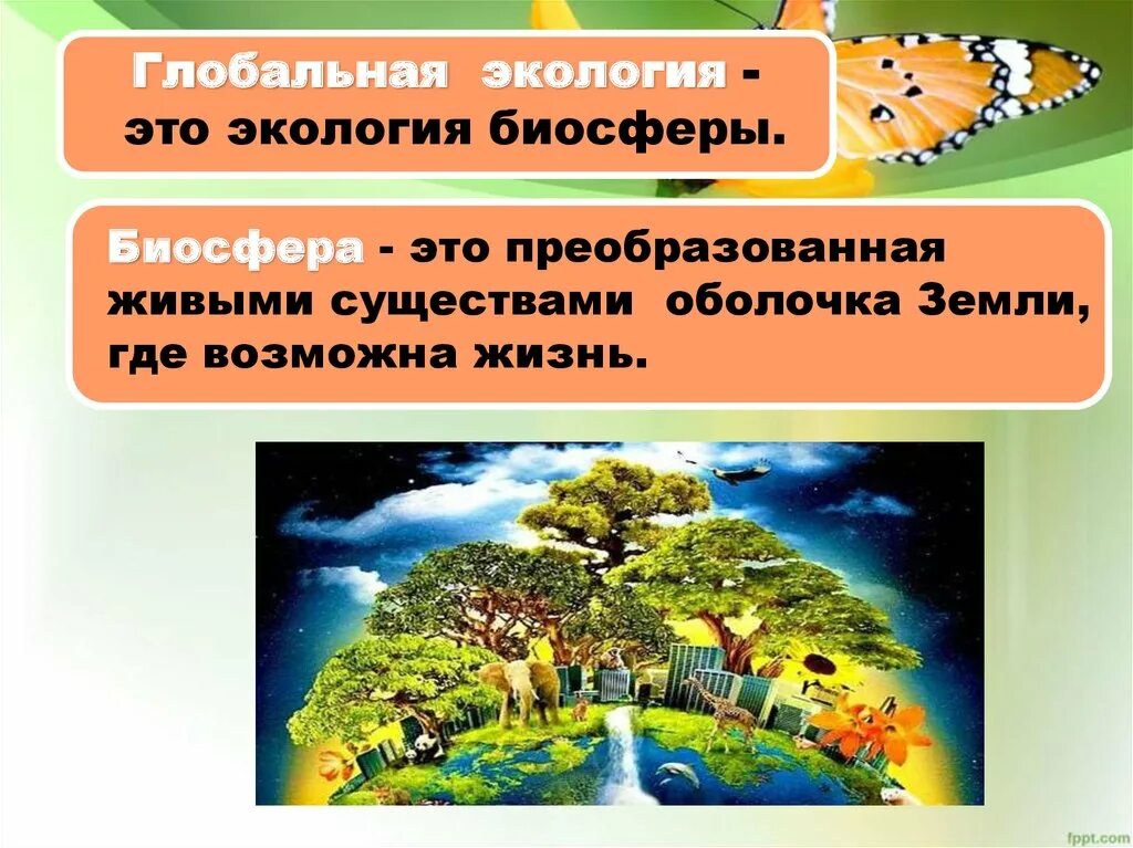 Проблемы изучения экологии. Глобальная экология. Биосфера это в экологии. Проблемы с экологией в биосфере. Глобальная экология это в экологии.