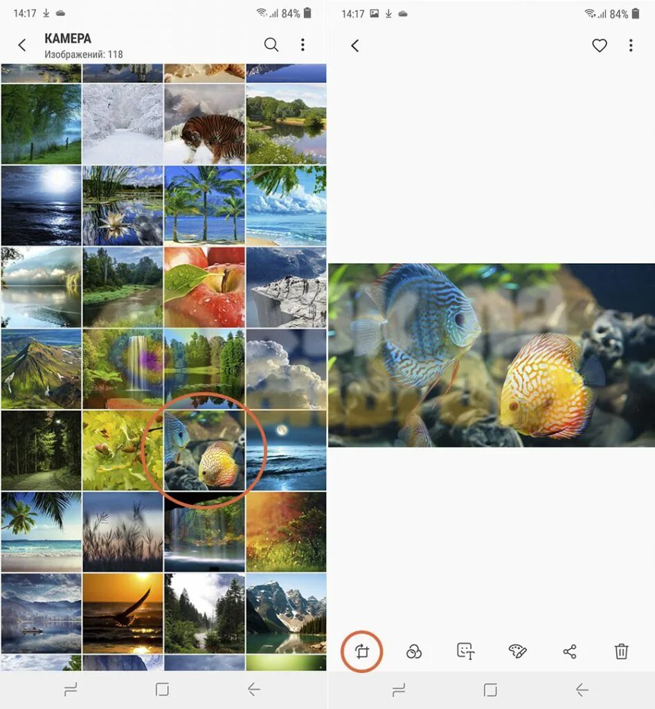 Как обрезать видео на андроиде. Как обрезать видео на андроиде самсунг. Как обрезать видео в галерее андроид самсунг. Как обрезать видео в галерее андроид самсунг. Как обрезать фото на телефоне.