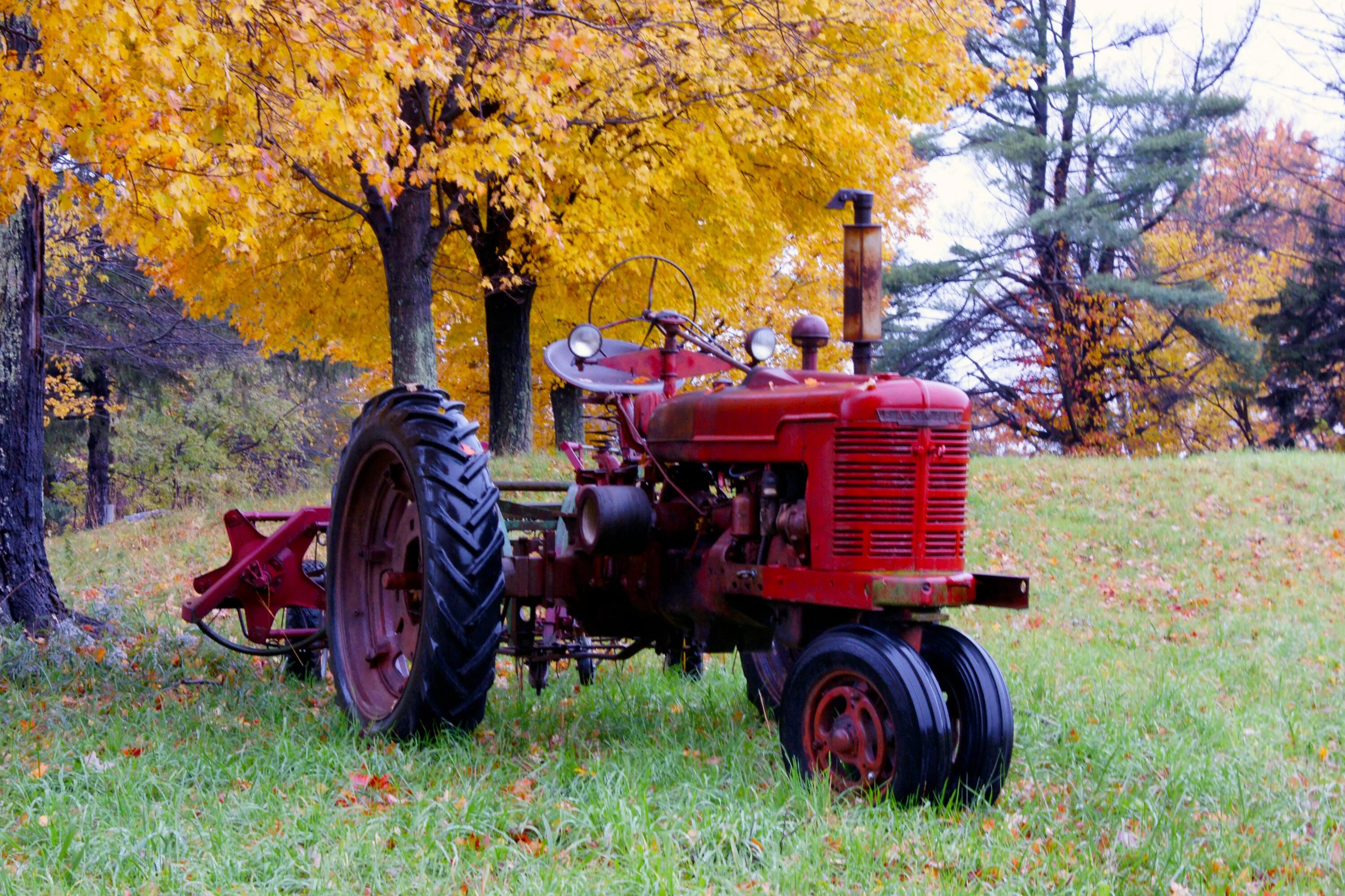 Купить старый трактор. ХТЗ-7 трактор. Старый трактор. Трактор в поле. Старый трактор в поле.