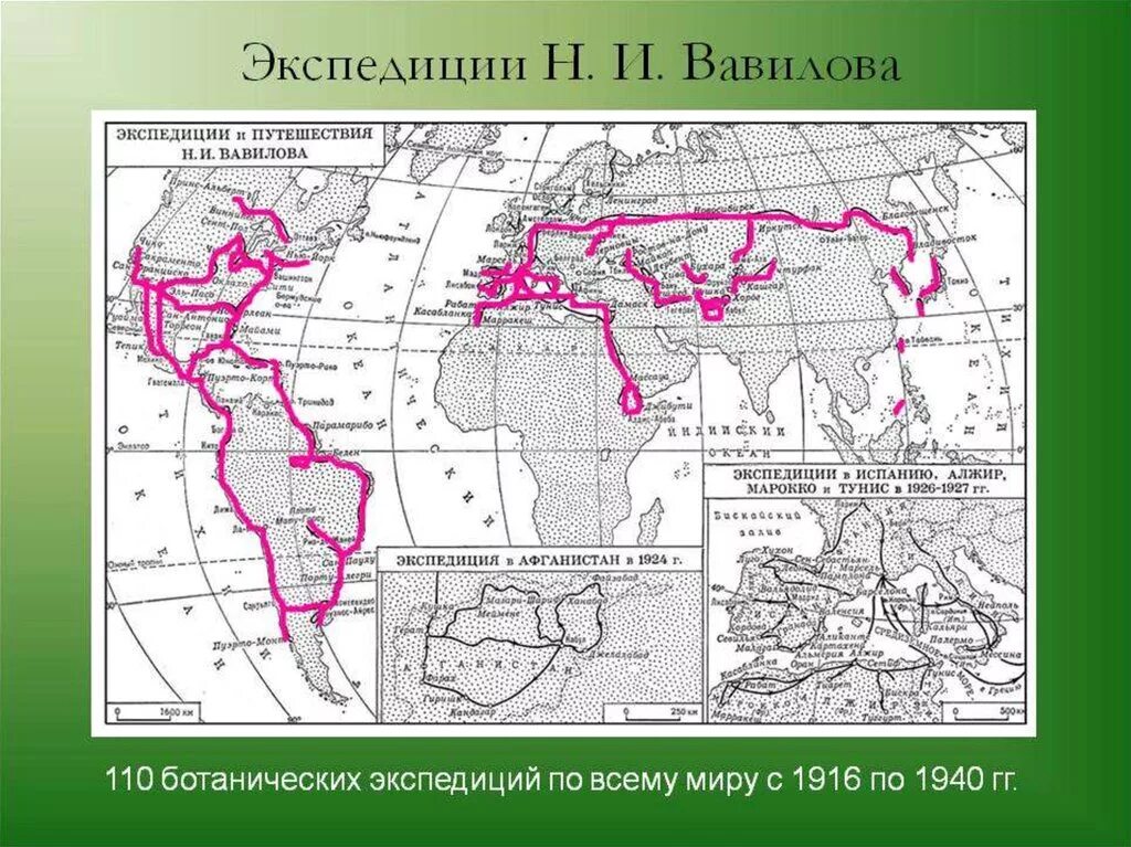 Экспедиции Вавилова на карте. Вавилов маршрут путешествия.