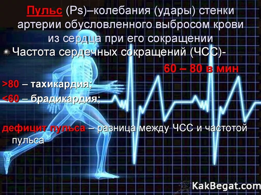 Почему пульс стал. ЧСС И пульс. Частота пульса. Частота сердечных сокращений. Что такое частота ударов пульса.