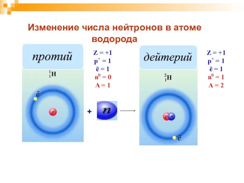 Сколько нейтронов в водороде