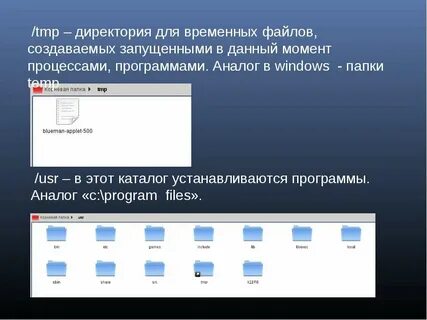 Рабочая директория