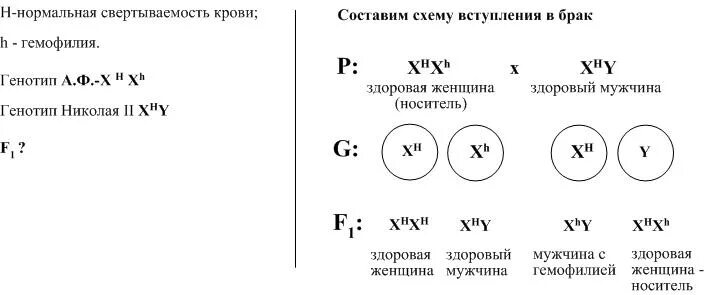Задачи на гемофилию и дальтонизм. Генотип голубоглазого мужчины дальтоника. Здоровая женщина, носительница гена гемофилии?. Генетические задачи по биологии 10 класс моногибридное скрещивание. Генотип женщины с гемофилией.